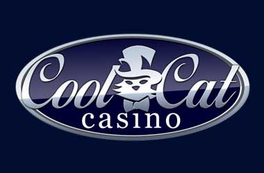 Casino Cool Cat Casino